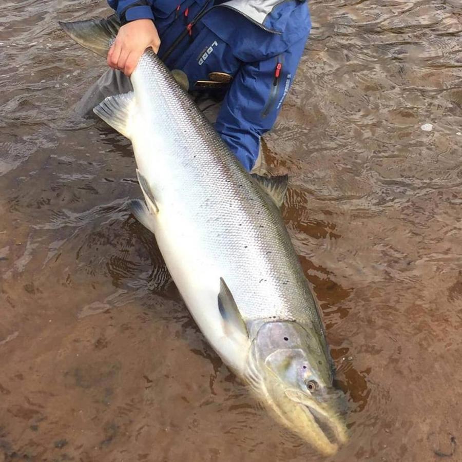 Jockfall Fishing And Activities - Oeverkalix Εξωτερικό φωτογραφία